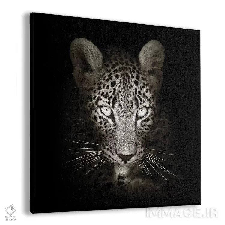 تابلو دکوراتیو پرتره پلنگ در تاریکی اثر یوهان سوانپوئل - نمای پرسپکتیو محصول