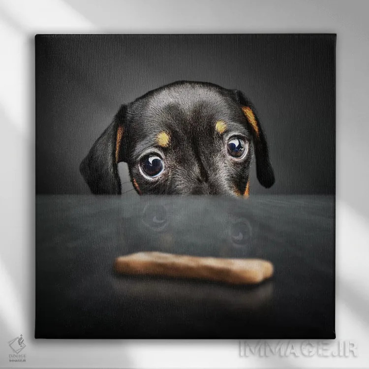 تابلو دکوراتیو توله سگ به دنبال خوراکی اثر یوهان سوانپوئل - نمای روبهرو روی دیوار