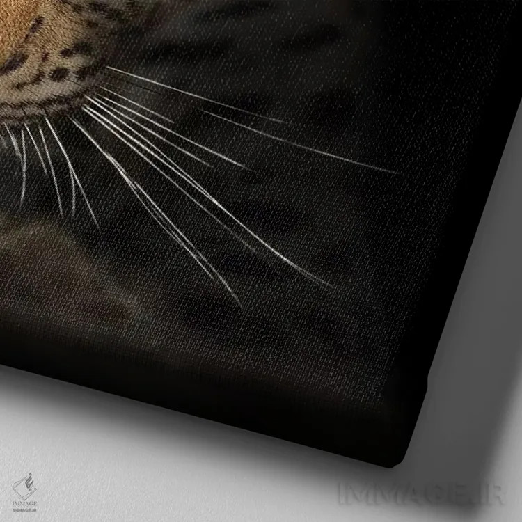 تابلو دکوراتیو پلنگ در تاریکی اثر یوهان سوانپوئل - نمای نزدیک بافت بوم