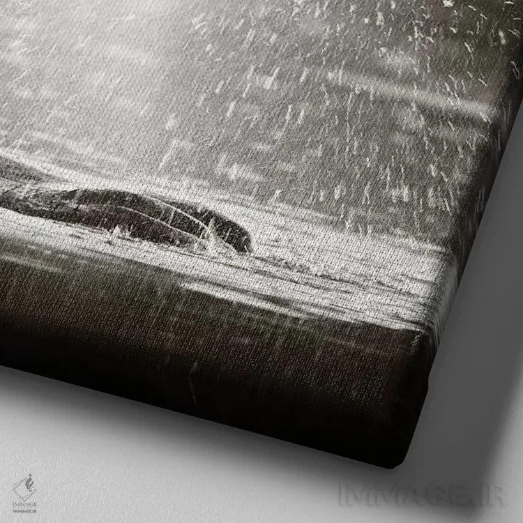 تابلو دکوراتیو اسب آبی در حال دمیدن هوا اثر یوهان سوانپوئل - نمای نزدیک بافت بوم