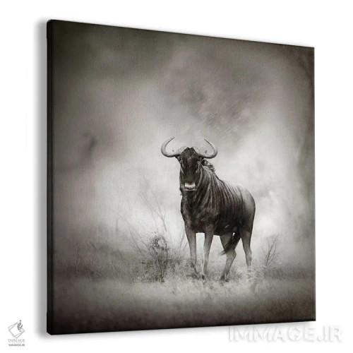 تابلو دکوراتیو گاو وحشی آبی در طوفان باران اثر یوهان سوانپوئل - نمای پرسپکتیو محصول