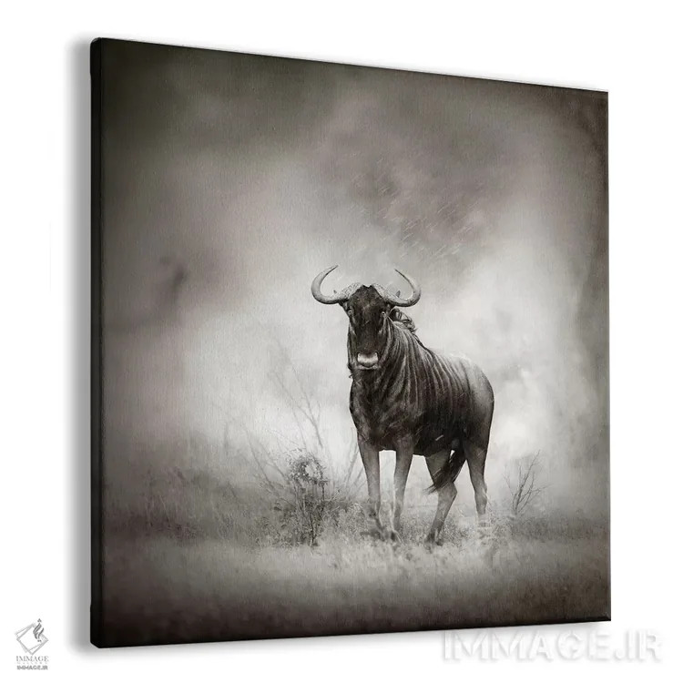 تابلو دکوراتیو گاو وحشی آبی در طوفان باران اثر یوهان سوانپوئل - نمای پرسپکتیو محصول