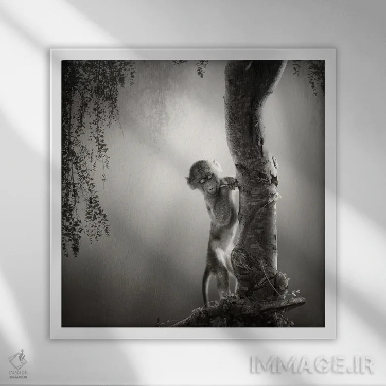 تابلو دکوراتیو بچه بابون اثر یوهان سوانپوئل - نمای قابدار سفید