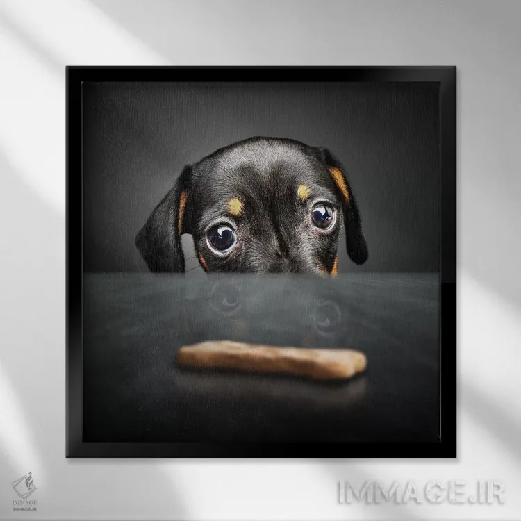 تابلو دکوراتیو توله سگ به دنبال خوراکی اثر یوهان سوانپوئل - نمای قابدار مشکی