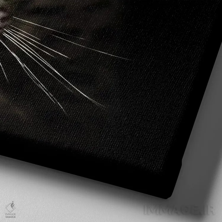 تابلو دکوراتیو پرتره پلنگ در تاریکی اثر یوهان سوانپوئل - نمای نزدیک بافت بوم