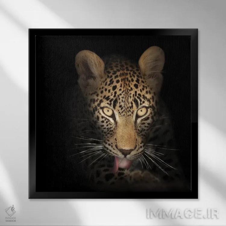 تابلو دکوراتیو پلنگ در تاریکی اثر یوهان سوانپوئل - نمای قابدار مشکی