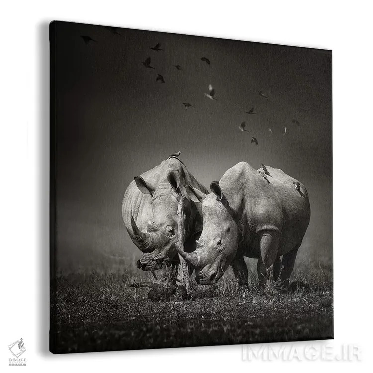 تابلو دکوراتیو دو کرگدن با پرندگان اثر یوهان سوانپوئل - نمای پرسپکتیو محصول