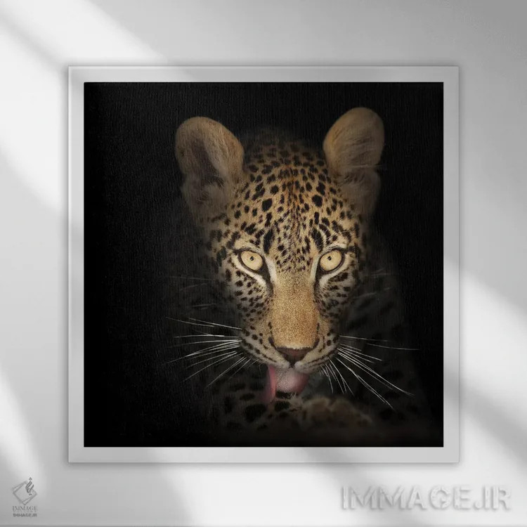 تابلو دکوراتیو پلنگ در تاریکی اثر یوهان سوانپوئل - نمای قابدار سفید