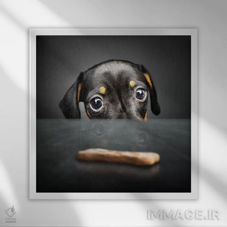 تابلو دکوراتیو توله سگ به دنبال خوراکی اثر یوهان سوانپوئل - نمای قابدار سفید