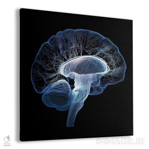 تابلو دکوراتیو مغز انسان با عصب های کوچک پیوسته تصویر شده اثر یوهان سوانپوئل - نمای پرسپکتیو محصول