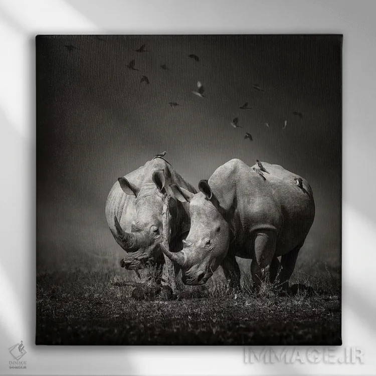 تابلو دکوراتیو دو کرگدن با پرندگان اثر یوهان سوانپوئل - نمای روبهرو روی دیوار