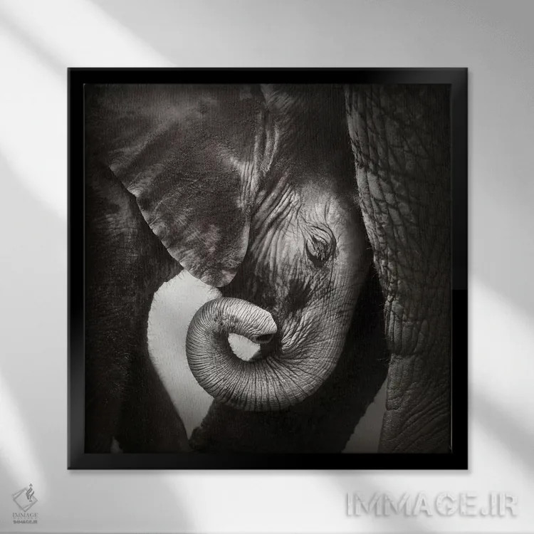 تابلو دکوراتیو بچه فیل به دنبال آرامش اثر یوهان سوانپوئل - نمای قابدار مشکی