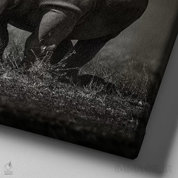 تابلو دکوراتیو دو کرگدن با پرندگان اثر یوهان سوانپوئل - نمای نزدیک بافت بوم