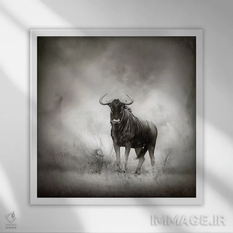 تابلو دکوراتیو گاو وحشی آبی در طوفان باران اثر یوهان سوانپوئل - نمای قابدار سفید