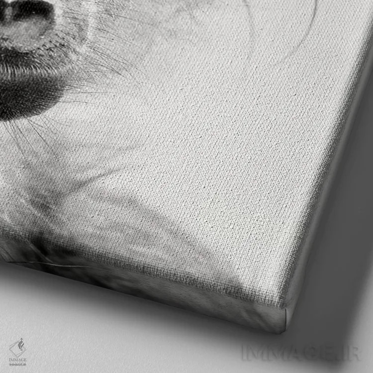 تابلو دکوراتیو پرتره بابون خیس اثر یوهان سوانپوئل - نمای نزدیک بافت بوم