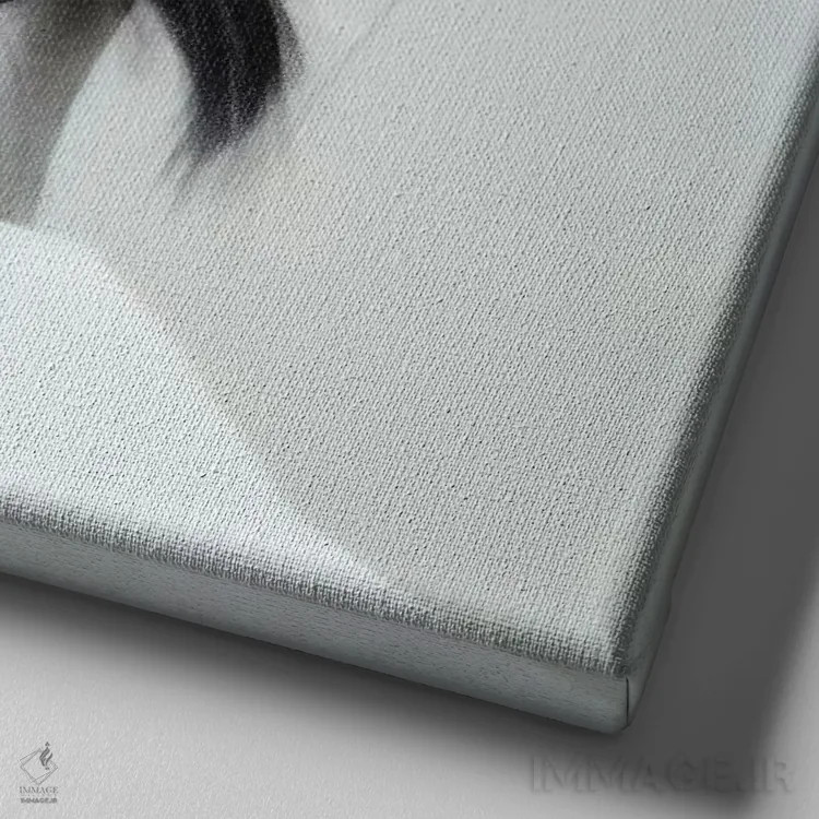 تابلو دکوراتیو نگاه کن کنار ۲ اثر جودی توماس - نمای نزدیک بافت بوم