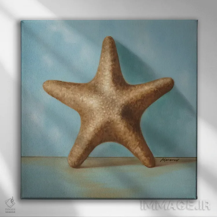 تابلو دکوراتیو صدف ها ۲ اثر جولیان مارکو - نمای روبهرو روی دیوار