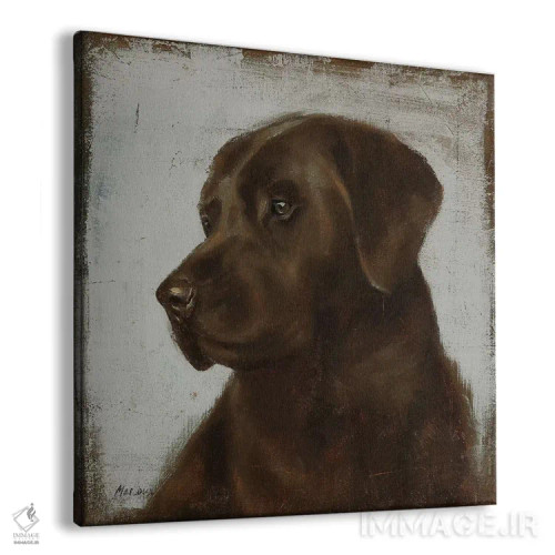 تابلو دکوراتیو لابرادور اثر جولیان مارکو - نمای پرسپکتیو محصول