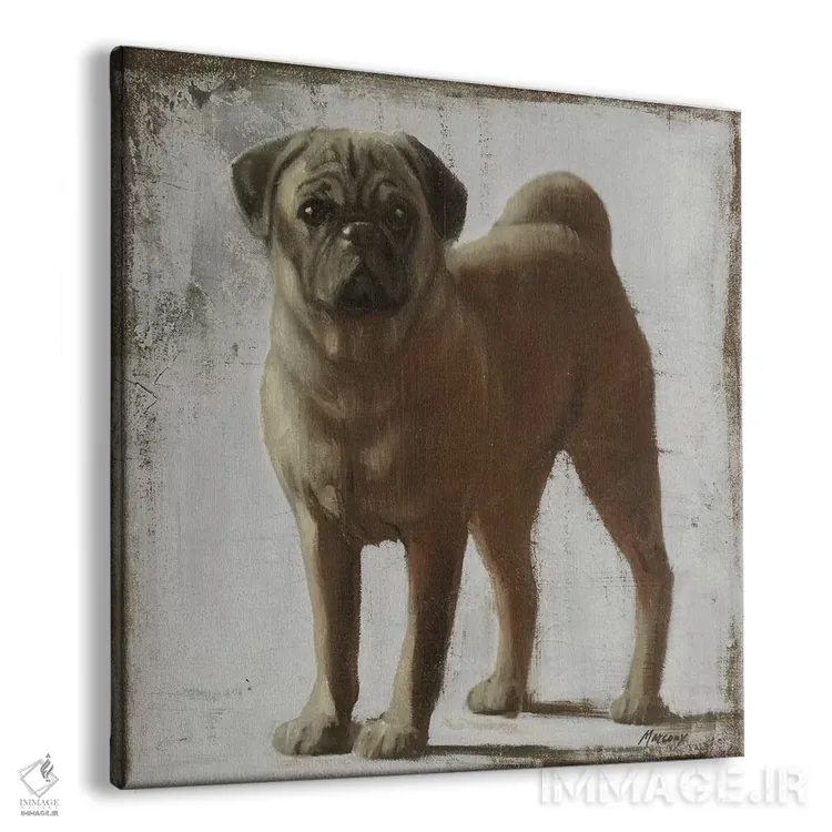 تابلو دکوراتیو پاگ اثر جولیان مارکو - نمای پرسپکتیو محصول