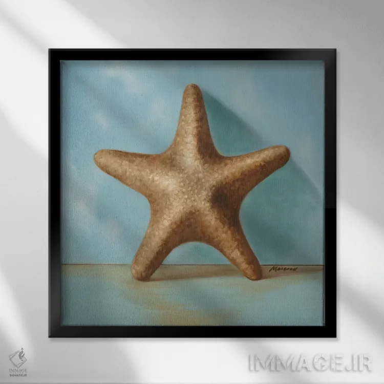 تابلو دکوراتیو صدف ها ۲ اثر جولیان مارکو - نمای قابدار مشکی