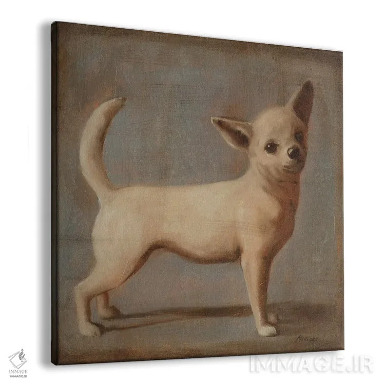 تابلو دکوراتیو چیهواهوآ ۲ اثر جولیان مارکو - نمای پرسپکتیو محصول