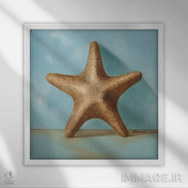 تابلو دکوراتیو صدف ها ۲ اثر جولیان مارکو - نمای قابدار سفید