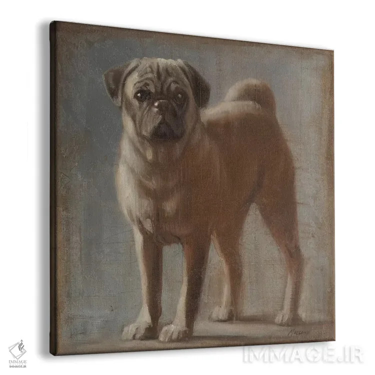 تابلو دکوراتیو پاگ ۲ اثر جولیان مارکو - نمای پرسپکتیو محصول