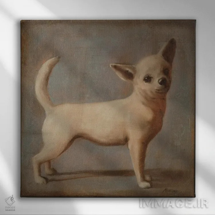 تابلو دکوراتیو چیهواهوآ ۲ اثر جولیان مارکو - نمای روبهرو روی دیوار