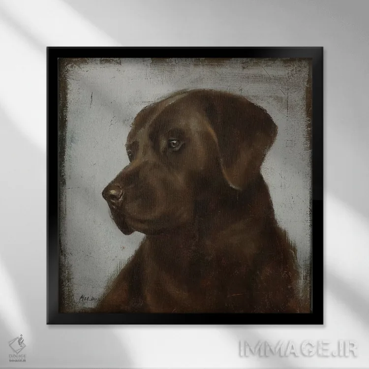 تابلو دکوراتیو لابرادور اثر جولیان مارکو - نمای قابدار مشکی