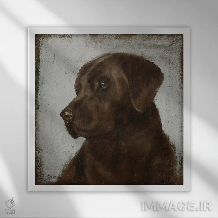 تابلو دکوراتیو لابرادور اثر جولیان مارکو - نمای قابدار سفید