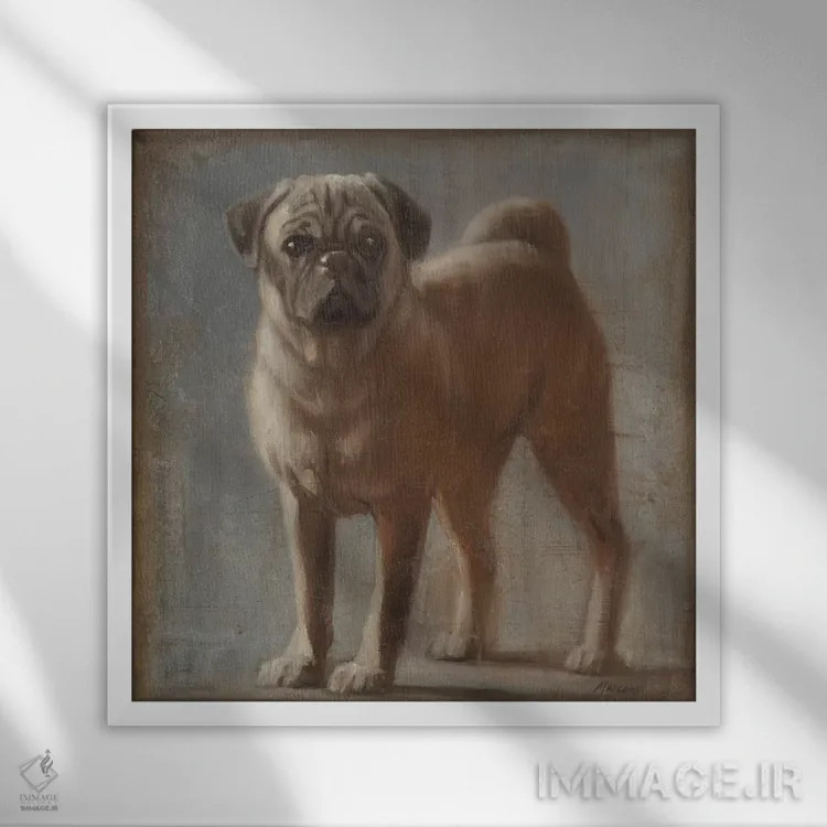 تابلو دکوراتیو پاگ ۲ اثر جولیان مارکو - نمای قابدار سفید