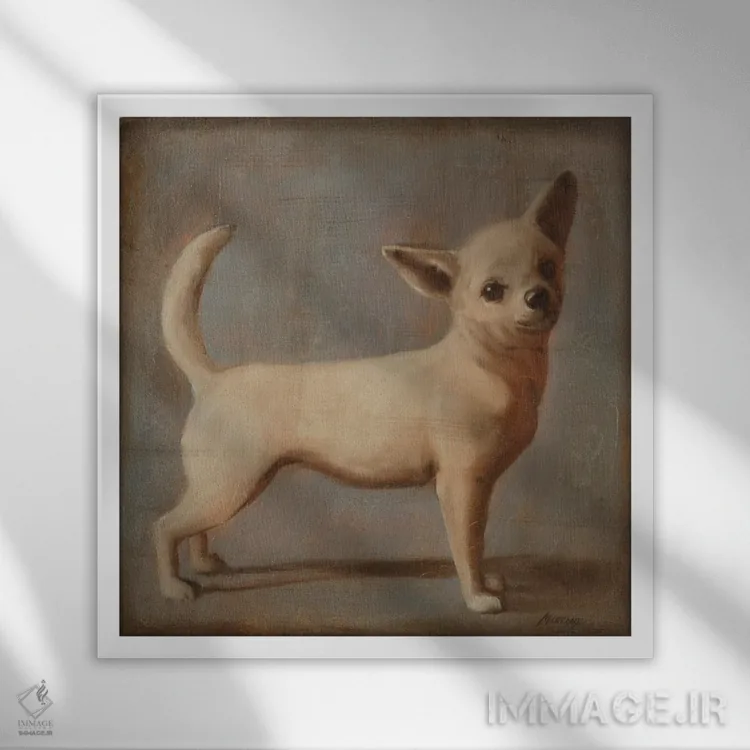 تابلو دکوراتیو چیهواهوآ ۲ اثر جولیان مارکو - نمای قابدار سفید