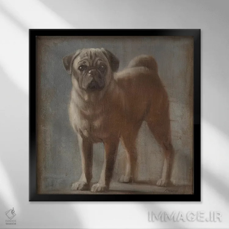 تابلو دکوراتیو پاگ ۲ اثر جولیان مارکو - نمای قابدار مشکی