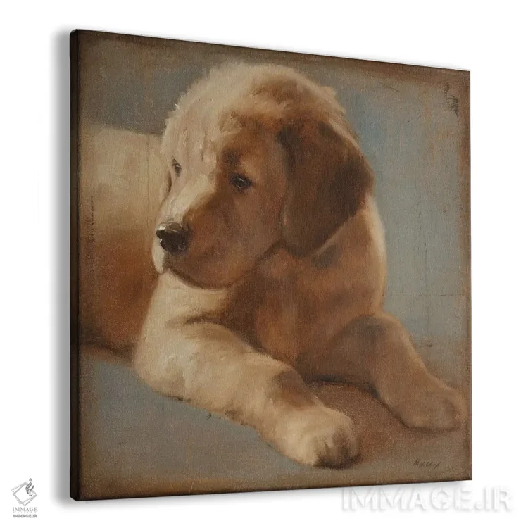 تابلو دکوراتیو رتریور ۲ اثر جولیان مارکو - نمای پرسپکتیو محصول