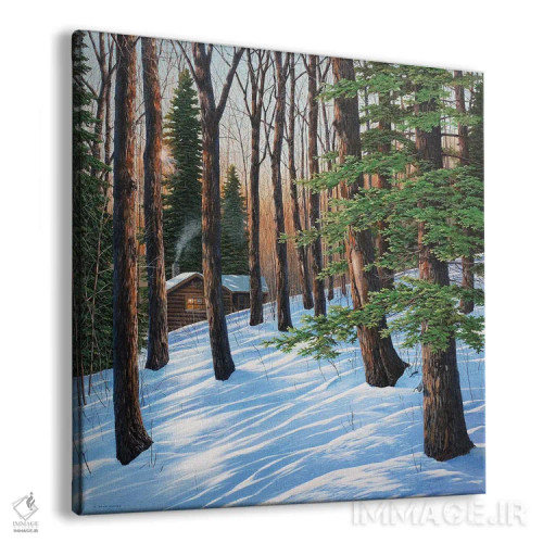 تابلو دکوراتیو در یک صبح زمستانی اثر جیک وندن برینگک - نمای پرسپکتیو محصول