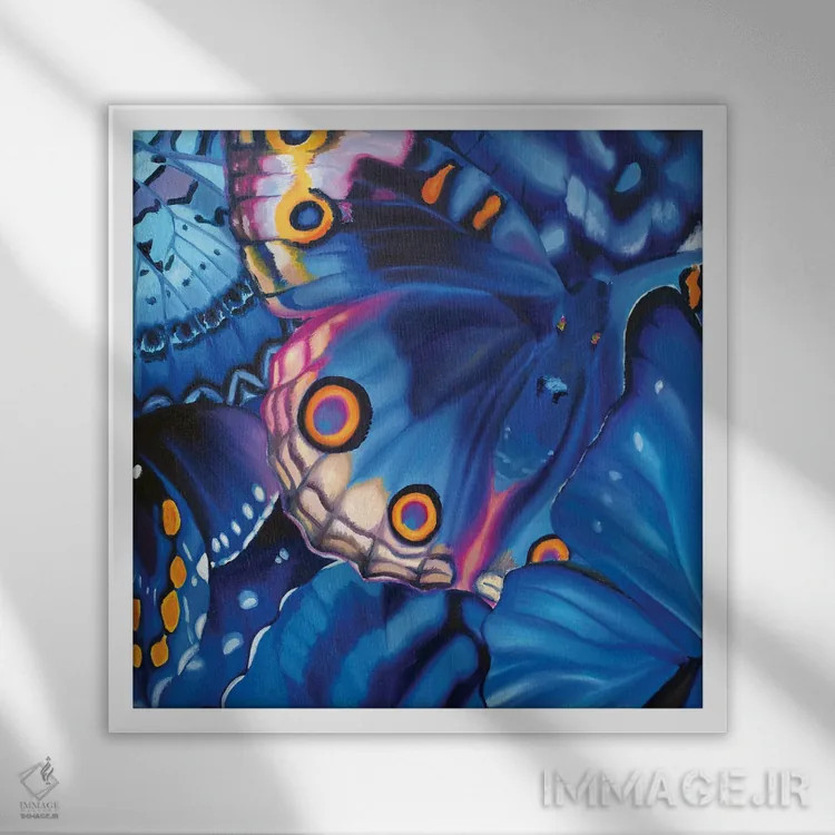 تابلو دکوراتیو شجاعت پروانه ها اثر جولیا رایان - نمای قابدار سفید