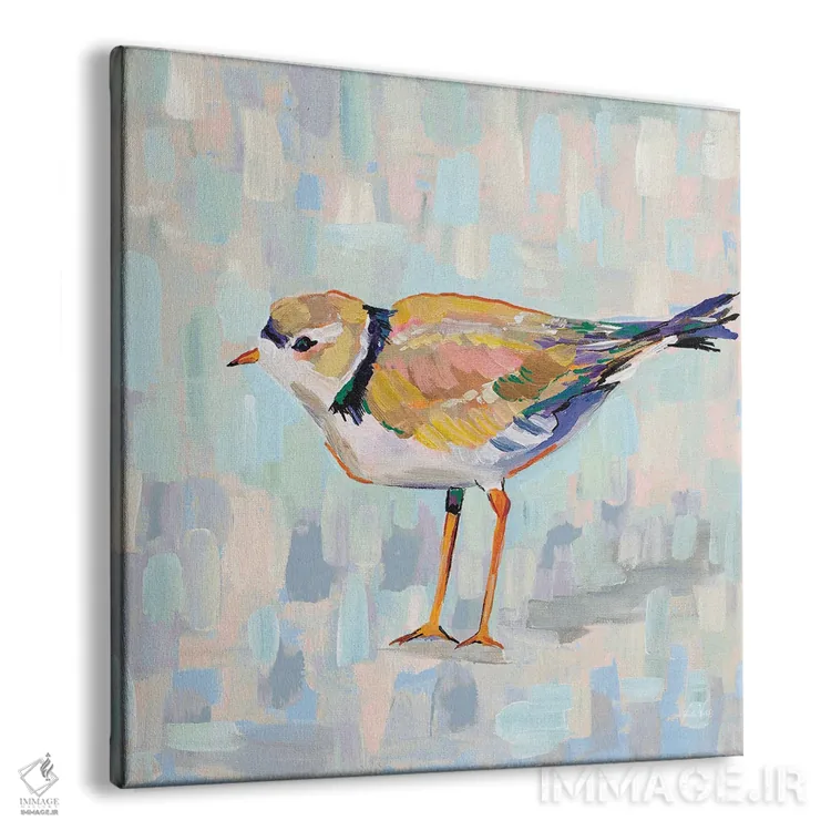 تابلو دکوراتیو چکاوک ساحلی IV نسخه ۲ اثر ژانت ورتنتس - نمای پرسپکتیو محصول