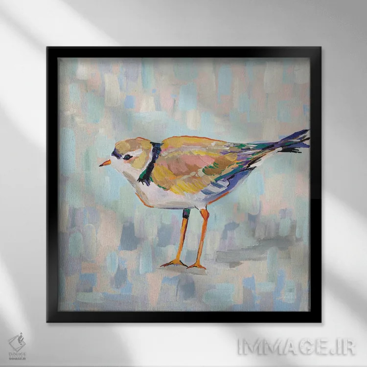 تابلو دکوراتیو چکاوک ساحلی IV نسخه ۲ اثر ژانت ورتنتس - نمای قابدار مشکی