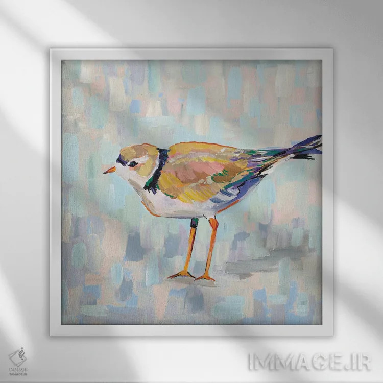 تابلو دکوراتیو چکاوک ساحلی IV نسخه ۲ اثر ژانت ورتنتس - نمای قابدار سفید