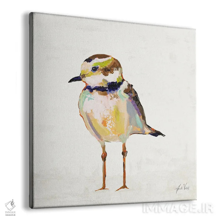 تابلو دکوراتیو چکاوک ساحلی II اثر ژانت ورتنتس - نمای پرسپکتیو محصول