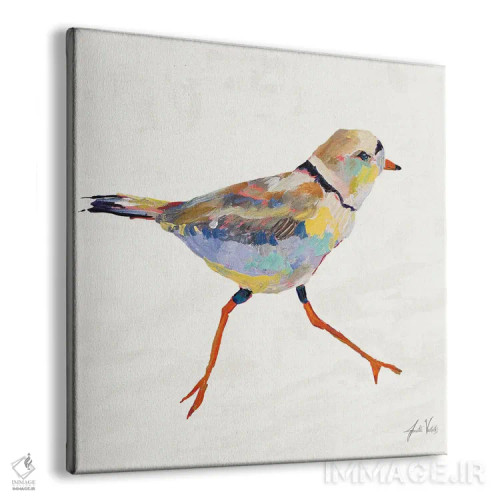 تابلو دکوراتیو چکاوک ساحلی I اثر ژانت ورتنتس - نمای پرسپکتیو محصول