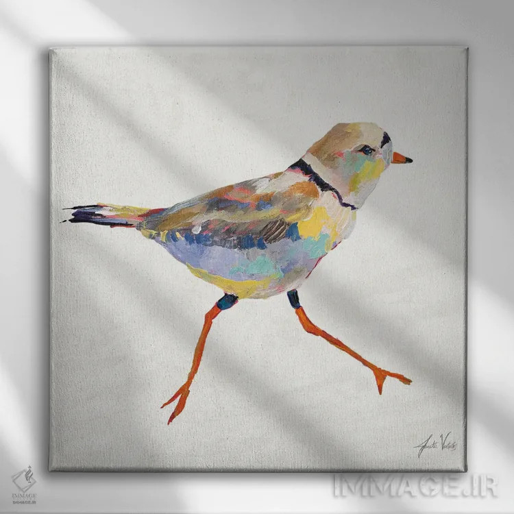 تابلو دکوراتیو چکاوک ساحلی I اثر ژانت ورتنتس - نمای روبهرو روی دیوار