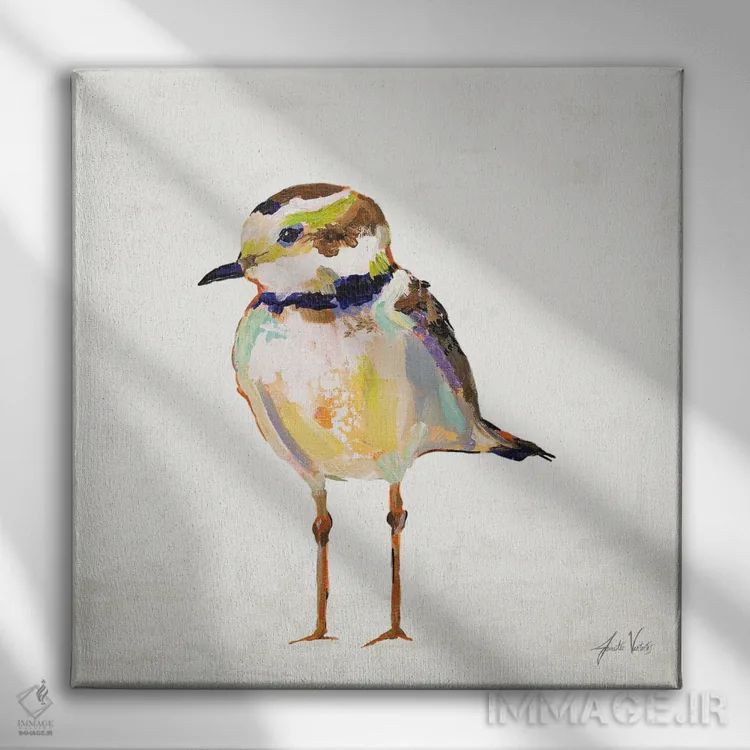 تابلو دکوراتیو چکاوک ساحلی II اثر ژانت ورتنتس - نمای روبهرو روی دیوار