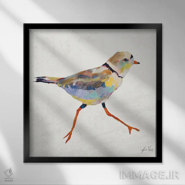 تابلو دکوراتیو چکاوک ساحلی I اثر ژانت ورتنتس - نمای قابدار مشکی