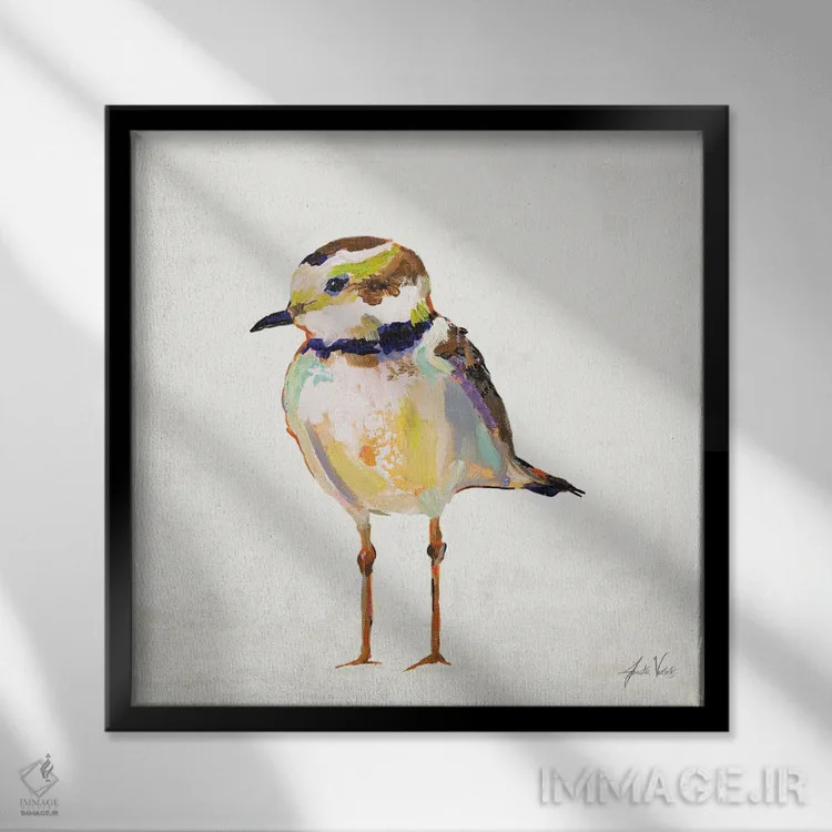 تابلو دکوراتیو چکاوک ساحلی II اثر ژانت ورتنتس - نمای قابدار مشکی