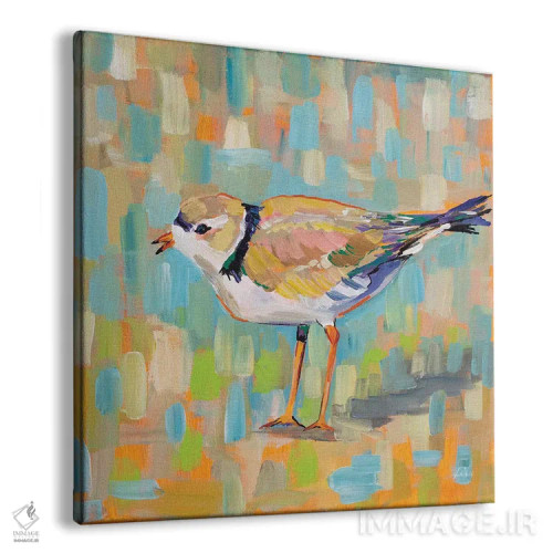 تابلو دکوراتیو چکاوک ساحلی IV اثر ژانت ورتنتس - نمای پرسپکتیو محصول