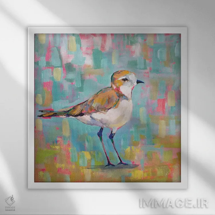 تابلو دکوراتیو چکاوک ساحلی III اثر ژانت ورتنتس - نمای قابدار سفید