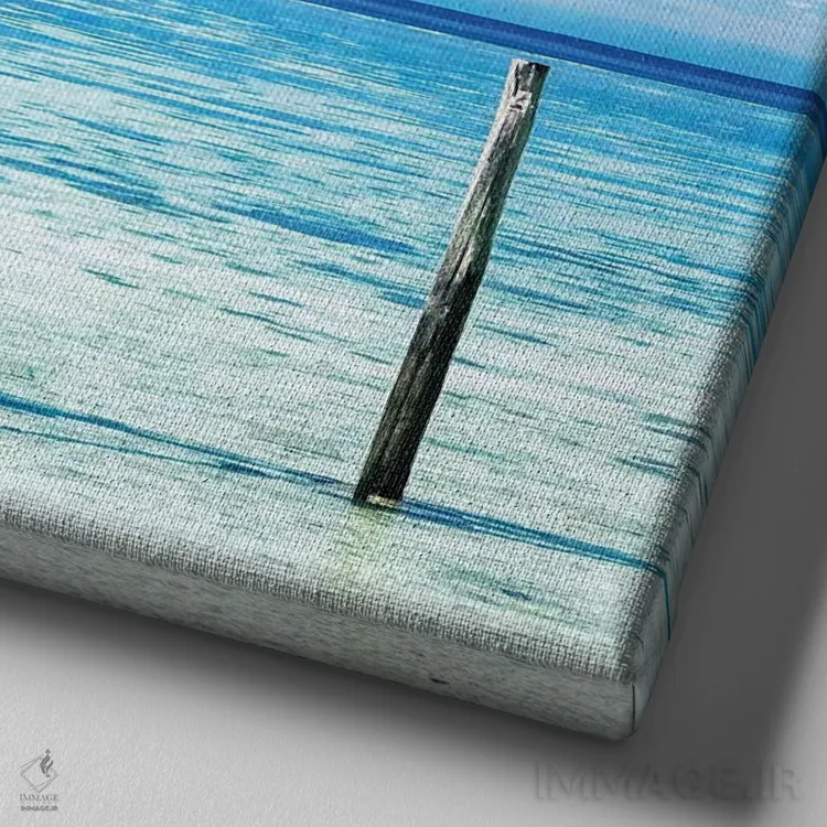 تابلو دکوراتیو دختر هیجان زده در سفر به دیواره بزرگ مرجانی اثر جیمز وودیکا - نمای نزدیک بافت بوم