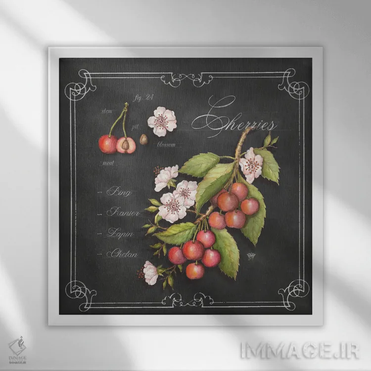 تابلو دکوراتیو گیلاس ها اثر جکی ون توبل - نمای قابدار سفید