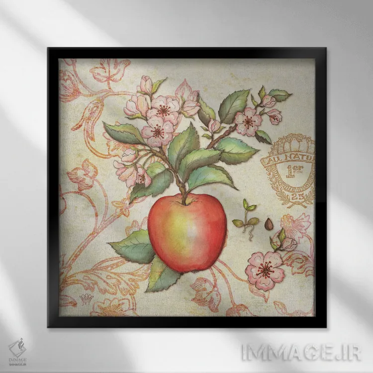 تابلو دکوراتیو سیب بازار کشاورزان اثر جکی ون توبل - نمای قابدار مشکی